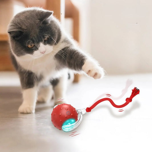 Balle Interactive avec corde pour chat - Chats Passion