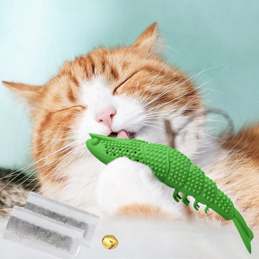 Brosse à dents à mâcher pour chat - CHEWTOY™ - Chats Passion